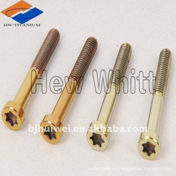 Bajo titanio tornillo Torx